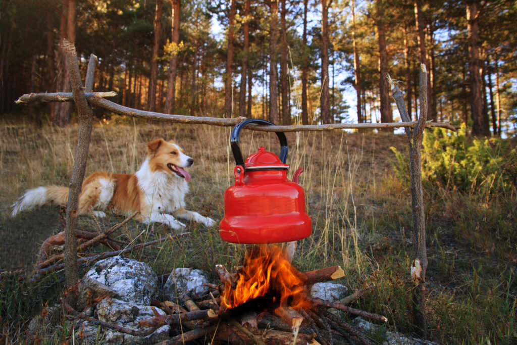 dog-at-campsite-yellowstone-national-park