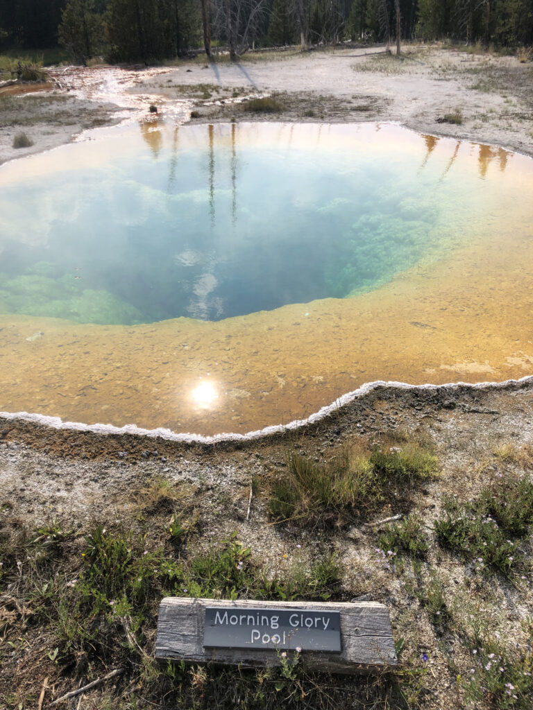 morning glory pool with sign in yellowstone national park