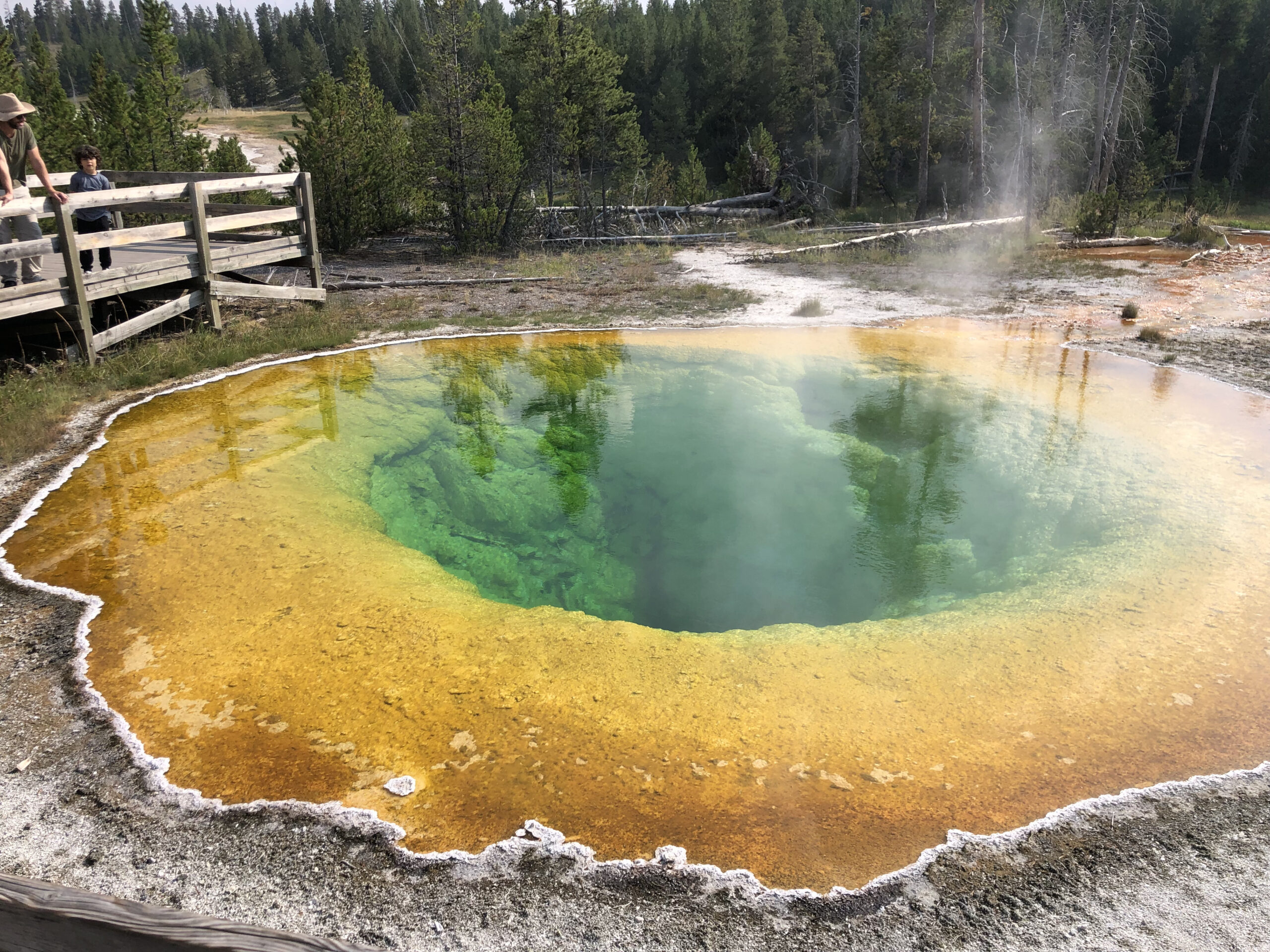 morning glory pool yellowstone national park