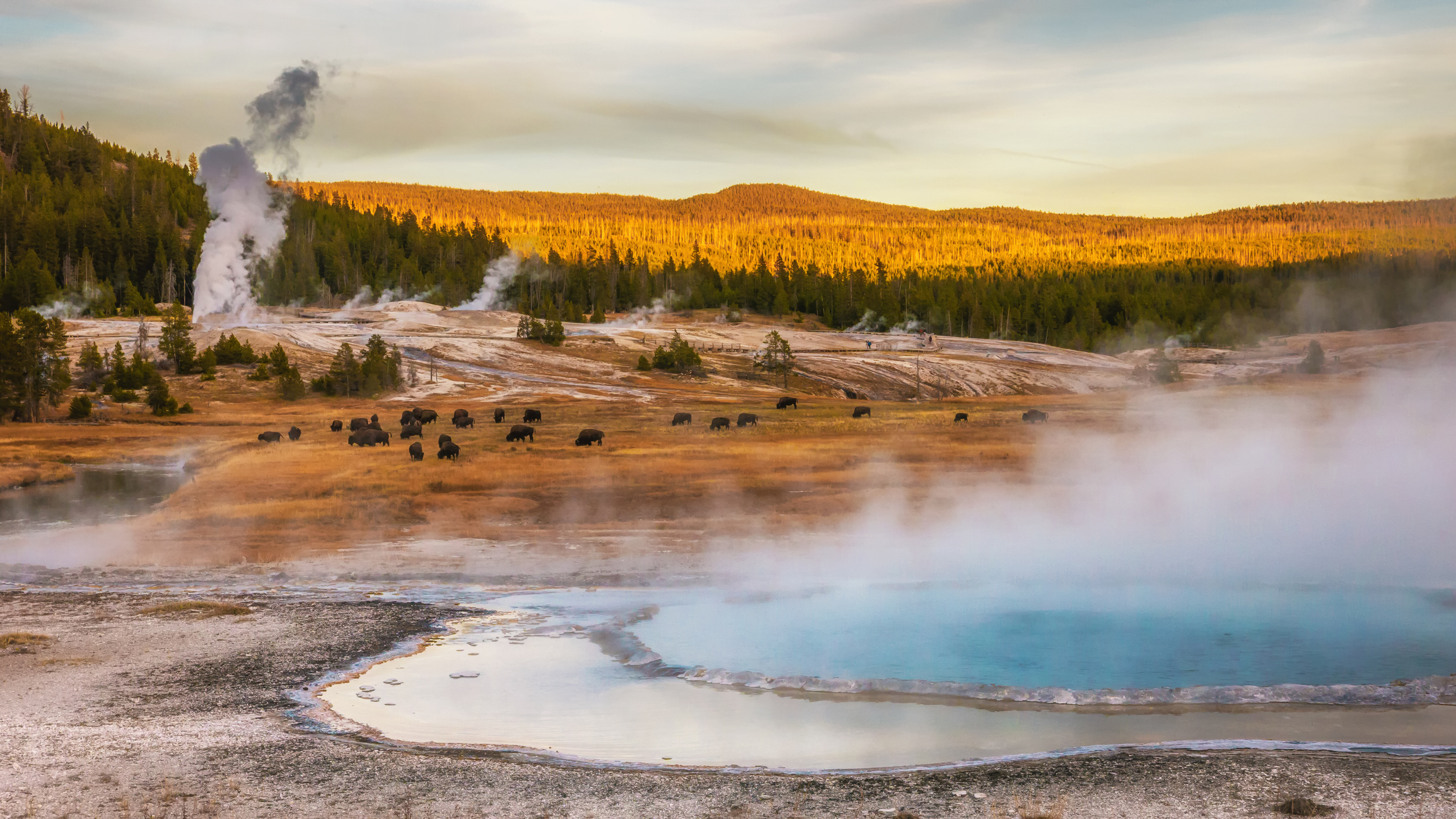 Steam rising near the Firehole River from geothermal pools and geysers yellowstone national park