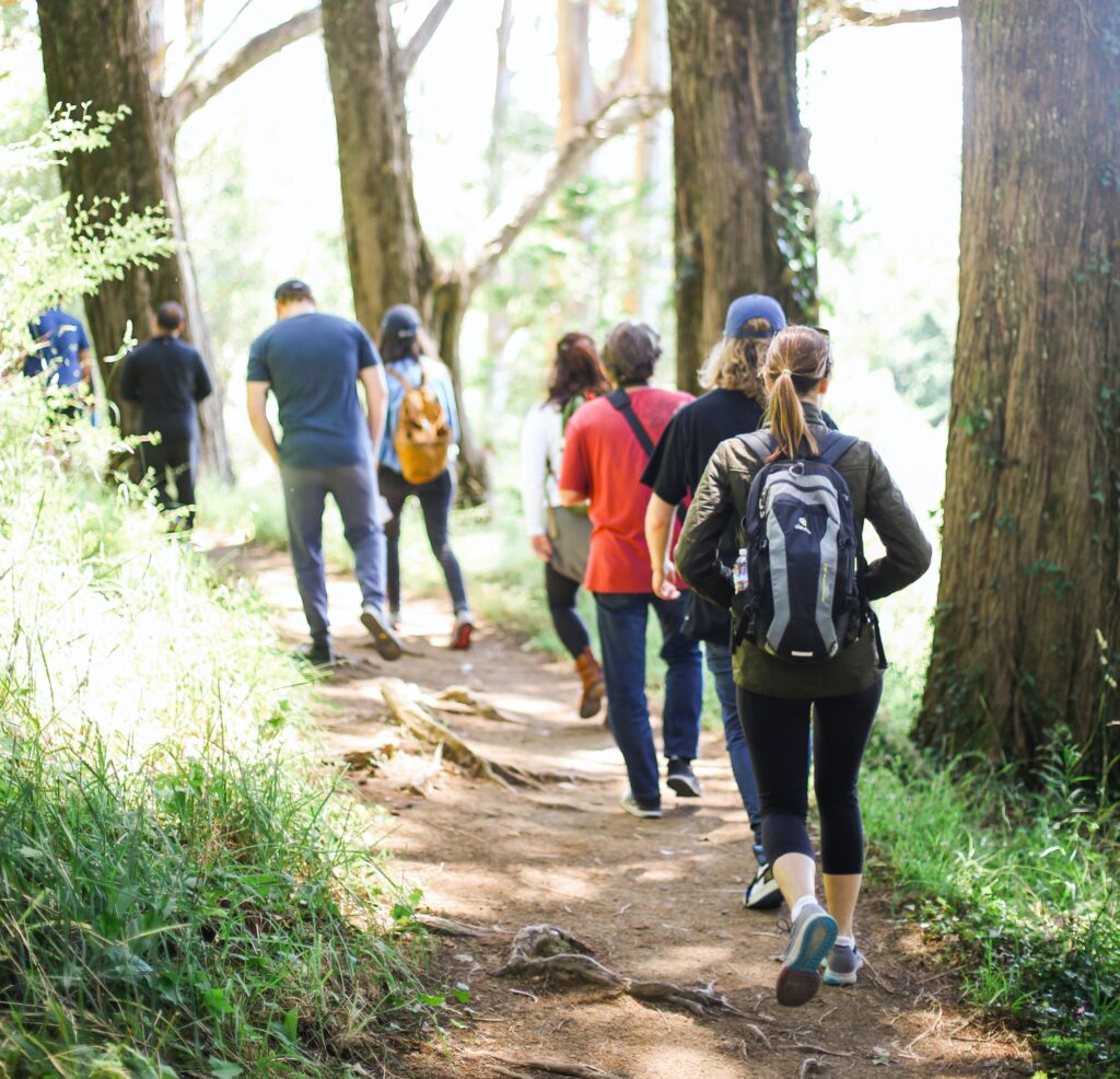 group of hikers walking through a wooded forest yellowstone national park